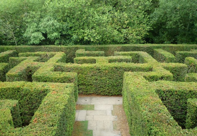 Navigating the Maze: Understanding the Special Education Hierarchy